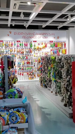 Soft Fleece Stuffed Pet Plush Toy Unique Seal Design Dog Squeak Toy