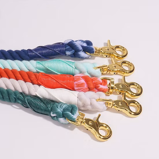 Pet Accessories 6 in 1 Set Neoprene Custom Pattern Printing Polyester Dog Harnees/ Collar/ Bowtie/ Poo Bag/ Bandana/ Leash