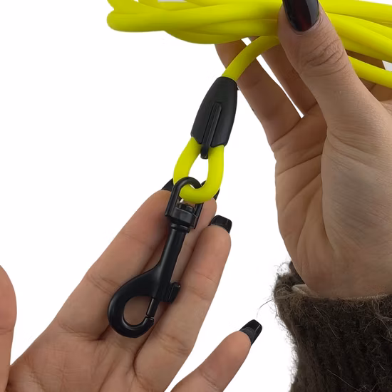 Rena Pet New Fashion Durable High Quality Full Size Gradient Color Adjustable Collar & Leash